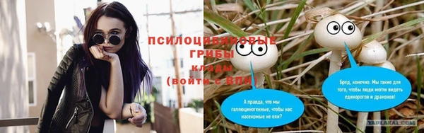 первитин Алексеевка