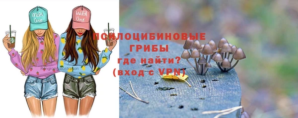 mix Алексин