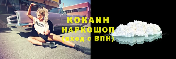 ПСИЛОЦИБИНОВЫЕ ГРИБЫ Осинники
