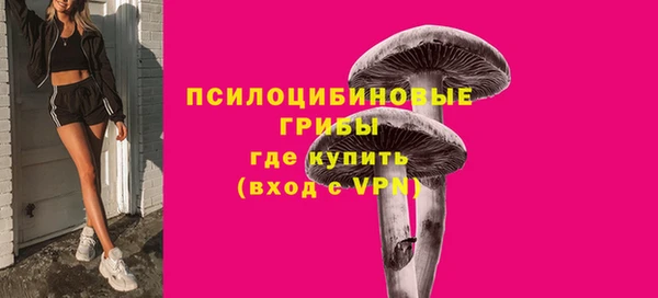 mix Алексин