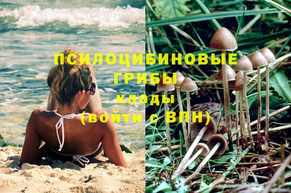 первитин Алексеевка